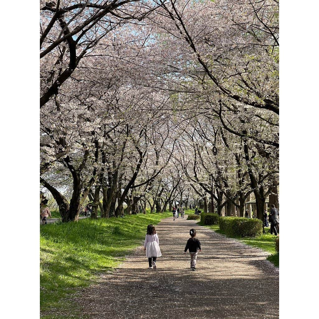 山田真以さんのインスタグラム写真 - (山田真以Instagram)「先日お誕生日を迎えました🎂🌸 自分の年齢を見ると恐ろしく、一年がそれはそれは早く感じます😇が、家族におめでとうってお祝いしてもらい嬉しく思いました💐 娘は、ケーキをフー！したくて人の誕生日を自分の誕生日のように喜びます🤣🌈 ラジオのお仕事から随分と離れているのにも関わらず、お祝いメッセージを届けて下さった沢山の皆さま、ありがとうございました🥰💞  写真は、家族とのお祝い。 そして見沼区の桜と、お友だちと見に行った三橋公園の桜。 どちらもとってもとっても綺麗でした🌸🍃」4月10日 0時23分 - maaai.yamada