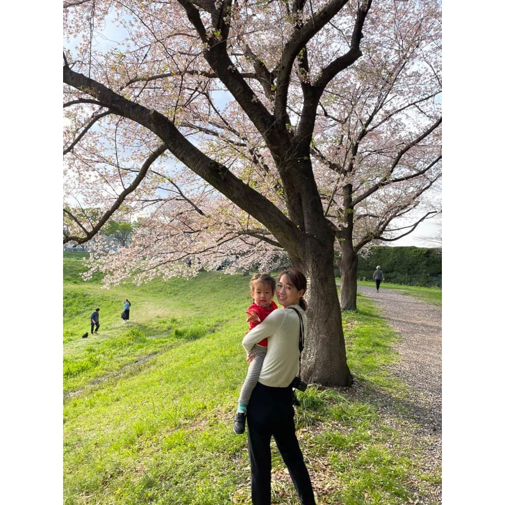 山田真以さんのインスタグラム写真 - (山田真以Instagram)「先日お誕生日を迎えました🎂🌸 自分の年齢を見ると恐ろしく、一年がそれはそれは早く感じます😇が、家族におめでとうってお祝いしてもらい嬉しく思いました💐 娘は、ケーキをフー！したくて人の誕生日を自分の誕生日のように喜びます🤣🌈 ラジオのお仕事から随分と離れているのにも関わらず、お祝いメッセージを届けて下さった沢山の皆さま、ありがとうございました🥰💞  写真は、家族とのお祝い。 そして見沼区の桜と、お友だちと見に行った三橋公園の桜。 どちらもとってもとっても綺麗でした🌸🍃」4月10日 0時23分 - maaai.yamada