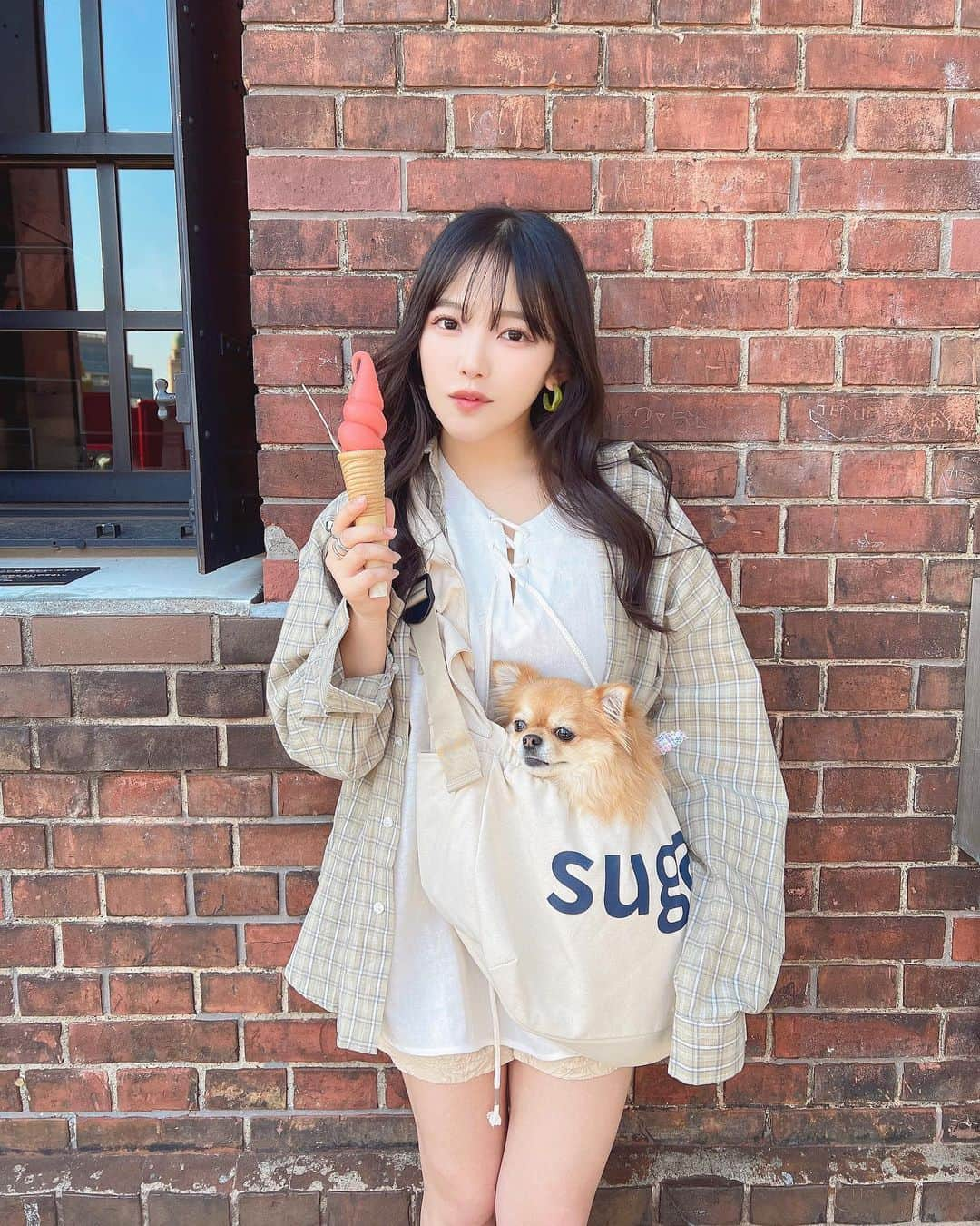 天木じゅんさんのインスタグラム写真 - (天木じゅんInstagram)「🧱🌉🧡  LIFE STYLE with DOGS in 横浜赤レンガ倉庫  ありがとうございました☺︎ 愛犬の @corone_chan1114 と ランウェイ歩くという幸せな体験ができました。  晴天でレッドカーペットが映えでした。 昼は春日和、夜は横浜の街並みがキラキラ。  沢山のわんちゃんが横浜赤レンガ倉庫に 大集結していて癒されました。  スタッフの皆様、共演者のみなさまに コロネちゃん可愛がってもらって とても幸せそうでした。 (1日遊んでいたので今は疲れてスヤスヤ寝てます)  本番前のはちゃめちゃリハーサル映像も🫣🫢  改めて動物は 全世界を明るくする素晴らしい存在ですね。  動物たちが生きやすい  世の中に 更になって行きますように😌🧡  そして、今回全身 @sheinofficial のお洋服でした！  私はスポーティの部門だったので カジュアルなファッションを着させていただきました。  普段は水着や小物も沢山愛用している SHEINだったので嬉しかったです!  SHEINで使えるクーポンコード【LWD23】で最大20%オフ！  #LWDwithSHEIN #SHEINコーデ #じゅんコロ #コロネちゃん #ロングコートチワワ #天木code」4月10日 0時16分 - jun.amaki