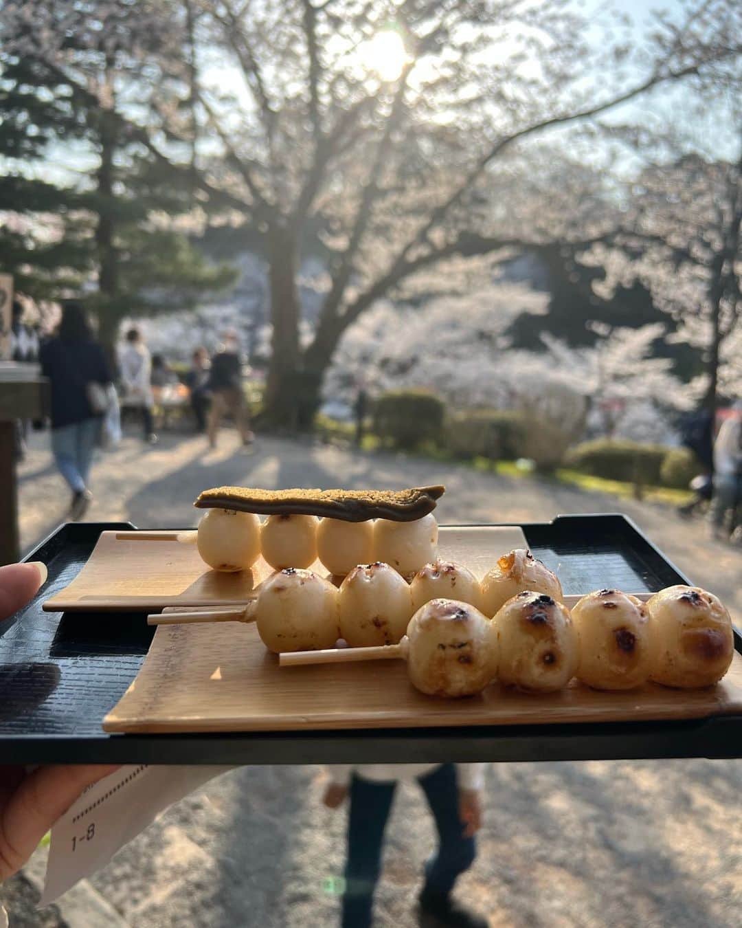 荒井奈緒美さんのインスタグラム写真 - (荒井奈緒美Instagram)「兼六園  本当にうっとりする庭園が広がっていて 心静まる景色だった🍃  とっても広いから今度はもっとゆっくりのんびりお散歩したいなぁ。  途中で入った茶屋で抹茶ラテとお団子を食べたのだけど、ここのお団子がほんとうに美味しかった！！ 桜も満開で、最高なタイミング🌸  #兼六園 #金沢旅行」4月10日 0時28分 - naomi__arai