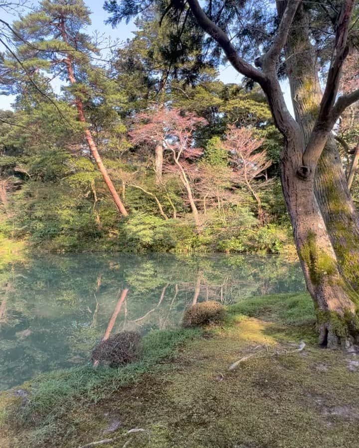 荒井奈緒美のインスタグラム：「兼六園  本当にうっとりする庭園が広がっていて 心静まる景色だった🍃  とっても広いから今度はもっとゆっくりのんびりお散歩したいなぁ。  途中で入った茶屋で抹茶ラテとお団子を食べたのだけど、ここのお団子がほんとうに美味しかった！！ 桜も満開で、最高なタイミング🌸  #兼六園 #金沢旅行」