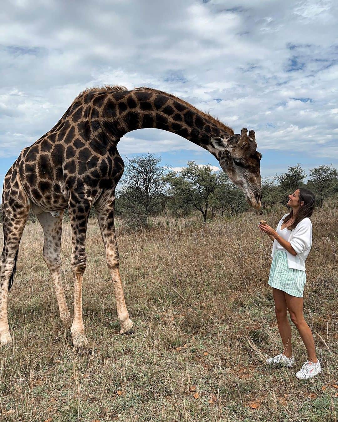 Camille LAUSさんのインスタグラム写真 - (Camille LAUSInstagram)「A day off well spent with Bungee 🦒 He lives in the wild but likes to be fed by humans 🍏 He was following us on our little safari 🦁🦓🦬🦒」4月10日 0時55分 - camillelaus