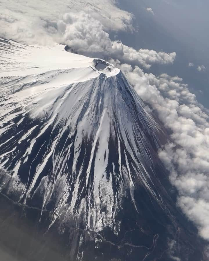 ミラクルひかるのインスタグラム：「正月からのご無沙汰です。🫡✨生きてます！　 （藪から棒に）皆様お元気ですか！ それはこっちよセリフだよですね🥟お詫びに最新情報！山口行きの飛行機JALは富士の真上を実は飛んでくれる情報！ 知らない人も意外と多いはず👍⭐️💛 　#ミラクルひかる　#みかん　 #奇跡　　#いちご姫　#ランディヲ様　#ビューティーこくぶ　さんのジャージ姿 初心に戻って出直す！って意味でいちご姫の苺狩り🍓👍」