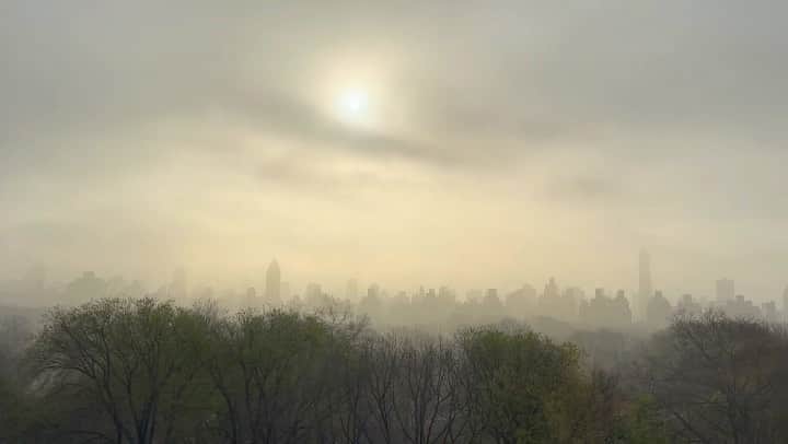 イマン・アブドゥルマジドのインスタグラム：「A misty morning reminds us that beauty can be found in the most unexpected places #Blessed」