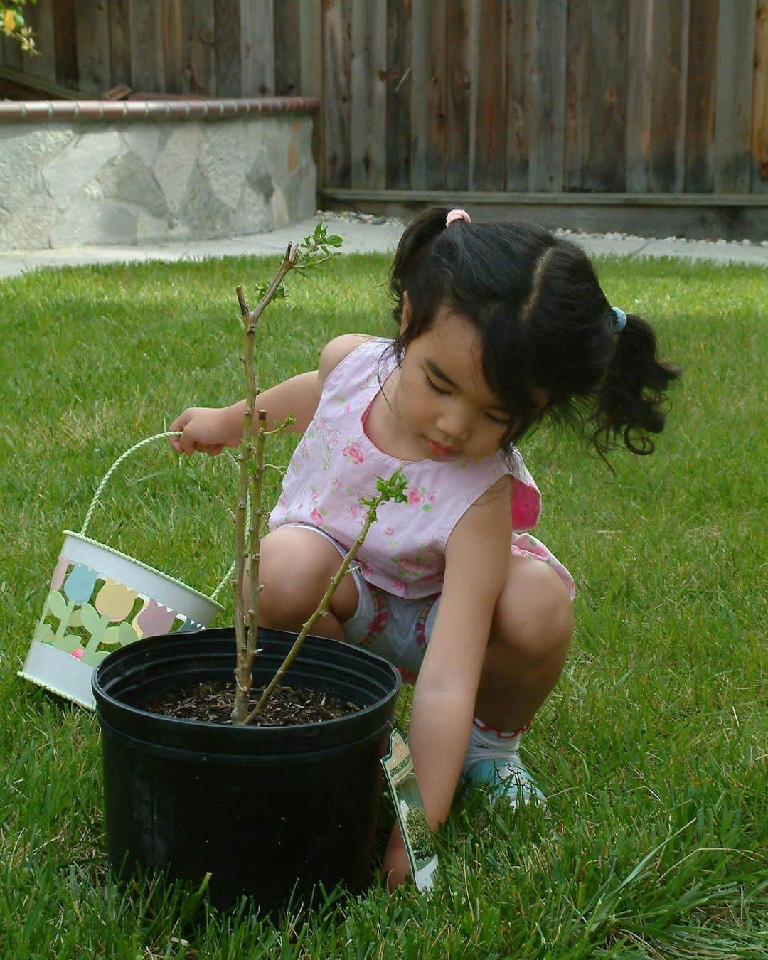 カレン・チェンのインスタグラム：「wanted to recreate this baby karen easter pic but my hip mobility could never 🐣」