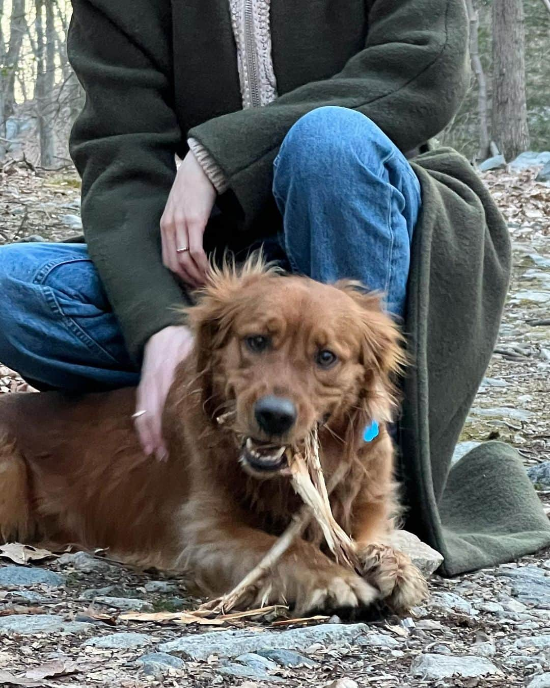 サマンサ・グラドヴィルさんのインスタグラム写真 - (サマンサ・グラドヴィルInstagram)「Happiest when in nature 🌿🍃 #hoppyeaster #dogmomlife #upstateny」4月10日 1時56分 - samgradoville