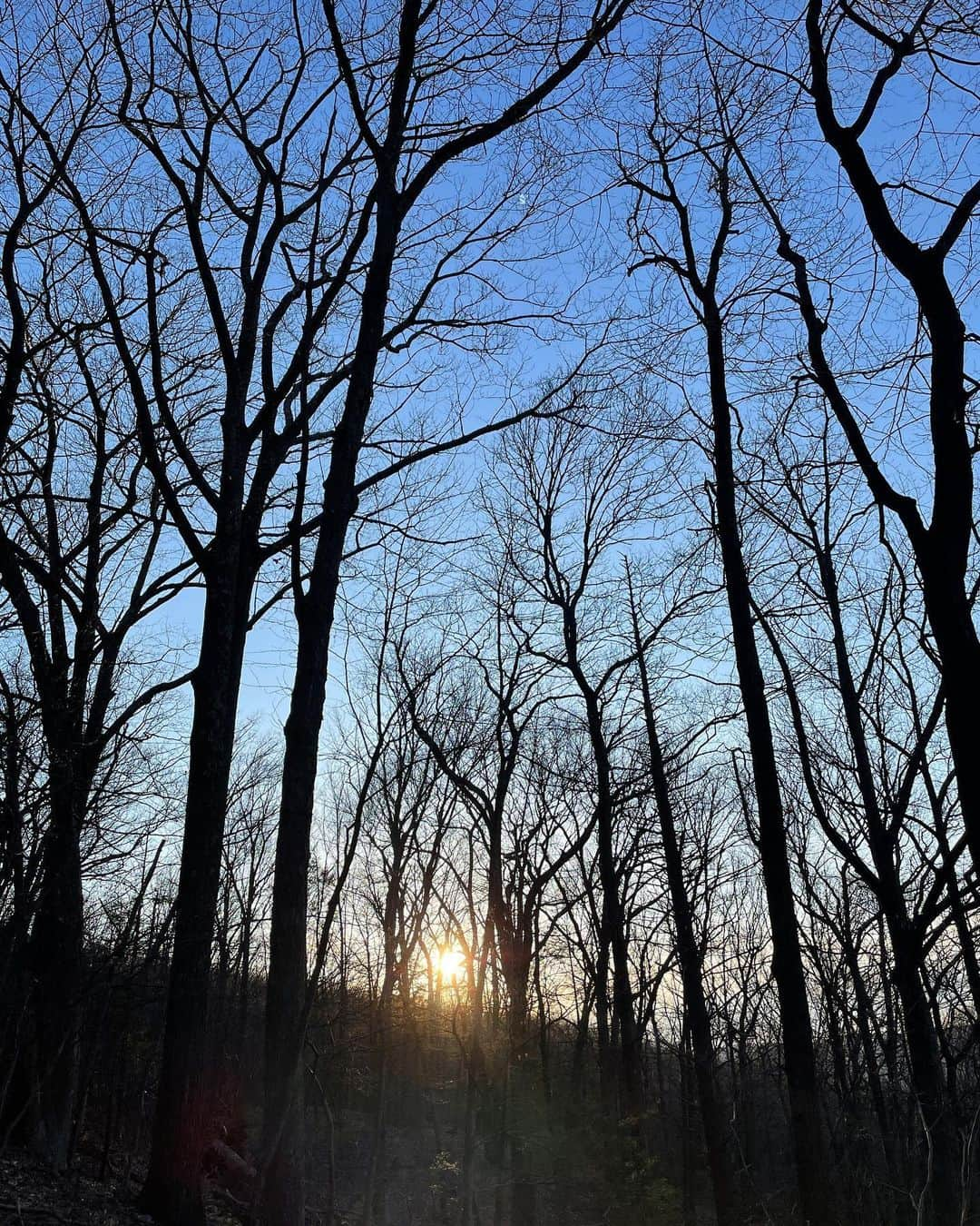 サマンサ・グラドヴィルさんのインスタグラム写真 - (サマンサ・グラドヴィルInstagram)「Happiest when in nature 🌿🍃 #hoppyeaster #dogmomlife #upstateny」4月10日 1時56分 - samgradoville