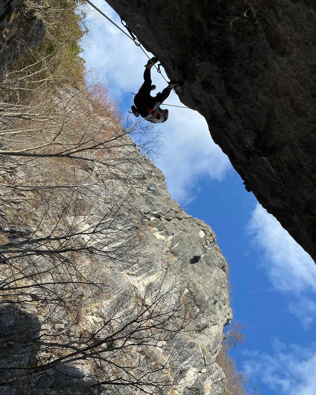 大場美和のインスタグラム：「先日は二子山西岳、久々のローソク岩でした！  猪鹿蝶7b マスターオンサイト✅ その後、エアウェイもマスターオンサイト狙っていったけど、ならず めっちゃ悔しいなー ああいうところで押し切るには何力が必要なんだろう 冷静な判断力？持久力？瞬発力？ とにかく実力が足りませんでした しかし歴史ある1本を登れてとても嬉しい！登った後ジャミングでもやってみようとしたけど全然きめられなかった😂  その後は爛熟8cに手を出してしまった… 内容の詰まっためっちゃ面白いルート これは来シーズンの目標にしよう 長い戦いになりそう…がんばります  #二子山 #クライミング #小鹿野町 #adidas #pamo #浜崎治療院」