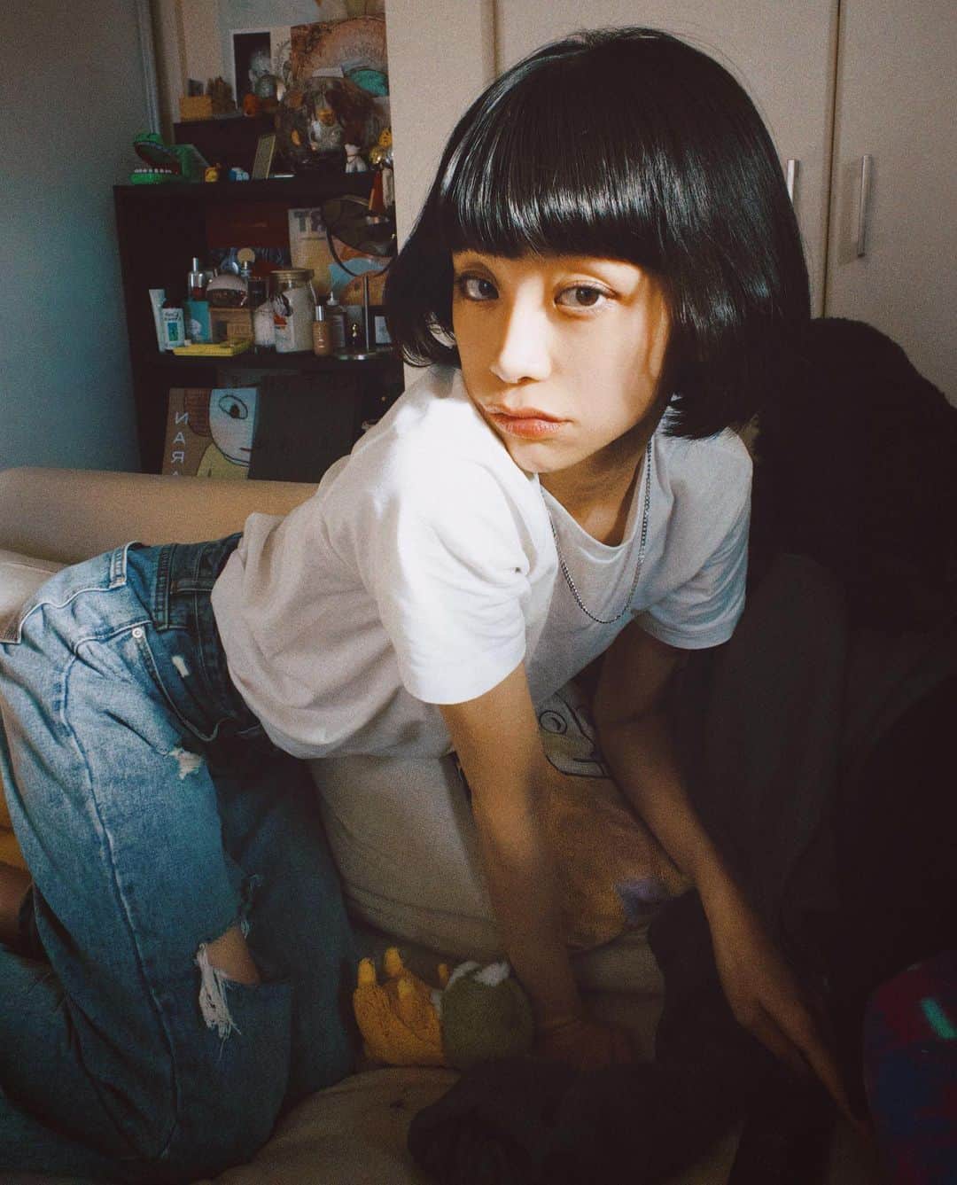 る鹿のインスタグラム：「🐈」