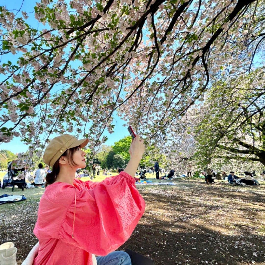 のインスタグラム：「Every new beginning comes from some other beginning’s end🌸🍃🌱」
