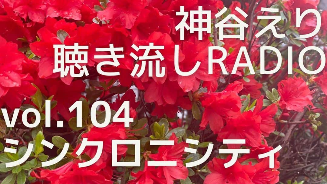 神谷えりさんのインスタグラム写真 - (神谷えりInstagram)「YouTubeに動画をアップしました! ぜひ観て下さい。  https://youtu.be/yQU1OE3bUE0  【聴き流しradio】 vol.104  シンクロニシティ  #神谷えり, #erikamiya, #jazz, #entertainment, #singer, #歌, #ジャズシンガー,  #talk, #radio, #聴き流し, #トーク, #シンクロニシティ, #synchronicity,」4月10日 13時28分 - erikamiya