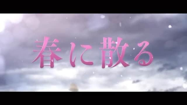 横浜流星のインスタグラム：「映画『春に散る』8月25日公開です。 特報が解禁しましたので是非！  #映画 #春に散る #8月25日公開 #4月生まれの方 #誕生日おめでとう #素敵な一年になりますように。 @haruchiru_movie」