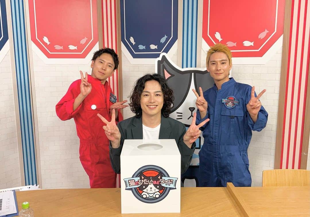 猫のひたいほどワイドのグルメインスタ