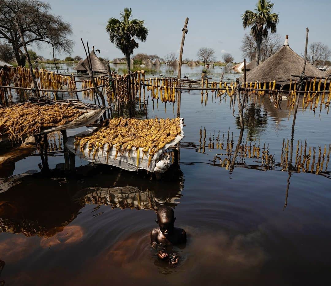 のインスタグラム：「Photo by @Lynseyaddario | Mading Akol, 11, swims in Pawel beneath dried fish, the only available food, in one of dozens of villages flooded across Jonglei state in South Sudan, October 23, 2021. That year, parts of South Sudan experienced some of the worst flooding in six decades, exacerbating illnesses commonly seen and transmitted in rainy season: malaria, acute respiratory infections, and diarrhea. For three consecutive years, entire swaths and villages of Jonglei state were completely submerged. The reasons are various but boil down to a combination of climate change, deforestation in neighboring Ethiopia, population growth, and poor water management across Africa, experts say. The flooding continued into 2022. Photographed with a grant from @insidenatgeo. #climatechange #deforestation #southsudan #NationalGeographicSociety #LynseyAddario」