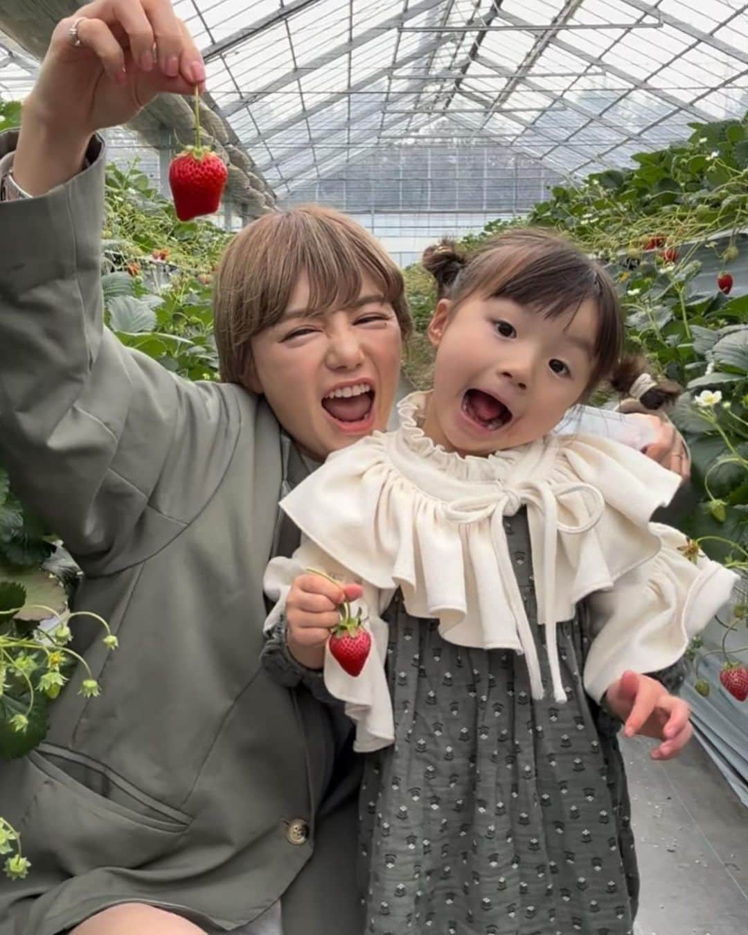 長谷川あやのインスタグラム：「・ 娘とひぃばーちゃんと地元のいちご狩りへ👧👵🍓 （娘と私の写真ひぃばーちゃんがささっと10秒くらいで 撮ってくれたんだけどなんかうまい👏🤣!!!笑）  さて、この中で1番多くいちごを食べたのは 誰でしょうか😏😏😏‼️  最後の動画は『3歳vs90歳』笑 3歳と同じくらいパワフルなばーちゃん😘 これからもずーっと元気でね✌️✌️✌️  #3歳#3歳10ヶ月#子供のいる生活#女の子ママ#小夏のいる生活」