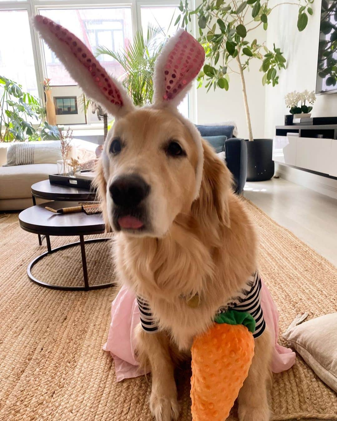 ショーン・オプリーさんのインスタグラム写真 - (ショーン・オプリーInstagram)「Happy Easter」4月10日 7時56分 - seanopry55