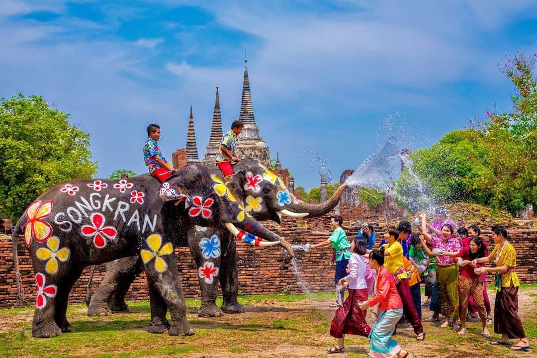 タイ国政府観光庁さんのインスタグラム写真 - (タイ国政府観光庁Instagram)「. アユタヤのソンクラーン会場からおはようございます☀️ᐝ  いよいよ今週の木曜日から、タイで「ソンクラーン」が始まります!!  ソンクラーンとは、タイのお正月のこと🎍 毎年4月13〜15日の3日間を祝日として、タイ各地で新年を祝うお祭りが行われるのが習わしです🌼  元々は仏像や仏塔、また家族の年長者などの手に水を掛け、お清めするのが伝統儀礼でした👏 近年はそれが転じて、人々が思う存分水を掛け合って楽しむ「水掛け祭り」として、世界的に知られるように🔫💦✨  写真のアユタヤでも、他の地方同様さまざまな催しが開かれます☺️  「ワット・ヴィハーン・プラ・モンコン・ボピット」では、早朝から托鉢風景が見られたり、仏像に水を掛けたりと、伝統的なお祝いが💁‍♀️  一方アユタヤの街中では、ミス・ソンクラーンのコンテストや、民族衣装をまとった人々によるパレードなど、楽しいイベントもいっぱい🥰 旧市街のエレファント・キャンプやスアンプリックの象柵跡で行われる、象との水掛け合戦も観光客に人気です🐘  タイの古き良きも新しさも同時に体験できる、アユタヤのソンクラーンをぜひチェックしてみてくださいね🙌  今日も素敵な1日をお過ごしください💐  ★参考になった！と思ったら、あとで見返せるように、 画像右下にある保存ボタン🔖をタップ！  ＊掲載写真は数年前のソンクラーンでのアユタヤの様子となります。 #タイ #アユタヤ #ソンクラーン #タイのお正月 #タイ祭り #水かけ祭り#ローカル体験 #タイ文化 #こんなタイ知らなかった #もっと知りタイ #タイ旅行 #アユタヤ旅行 #旅好きな人と繋がりたい #旅行好きな人と繋がりたい #海外旅行 #thailand #ayutthaya #ayutthayatrip #songkran #songkranfestival #songkranthailand #thaifestival #localexperience #thainess #amazingthailand #thailandtravel #thailandtrip #thaistagram #lovethailand #amazingnewchapters」4月10日 8時00分 - amazingthailandjp