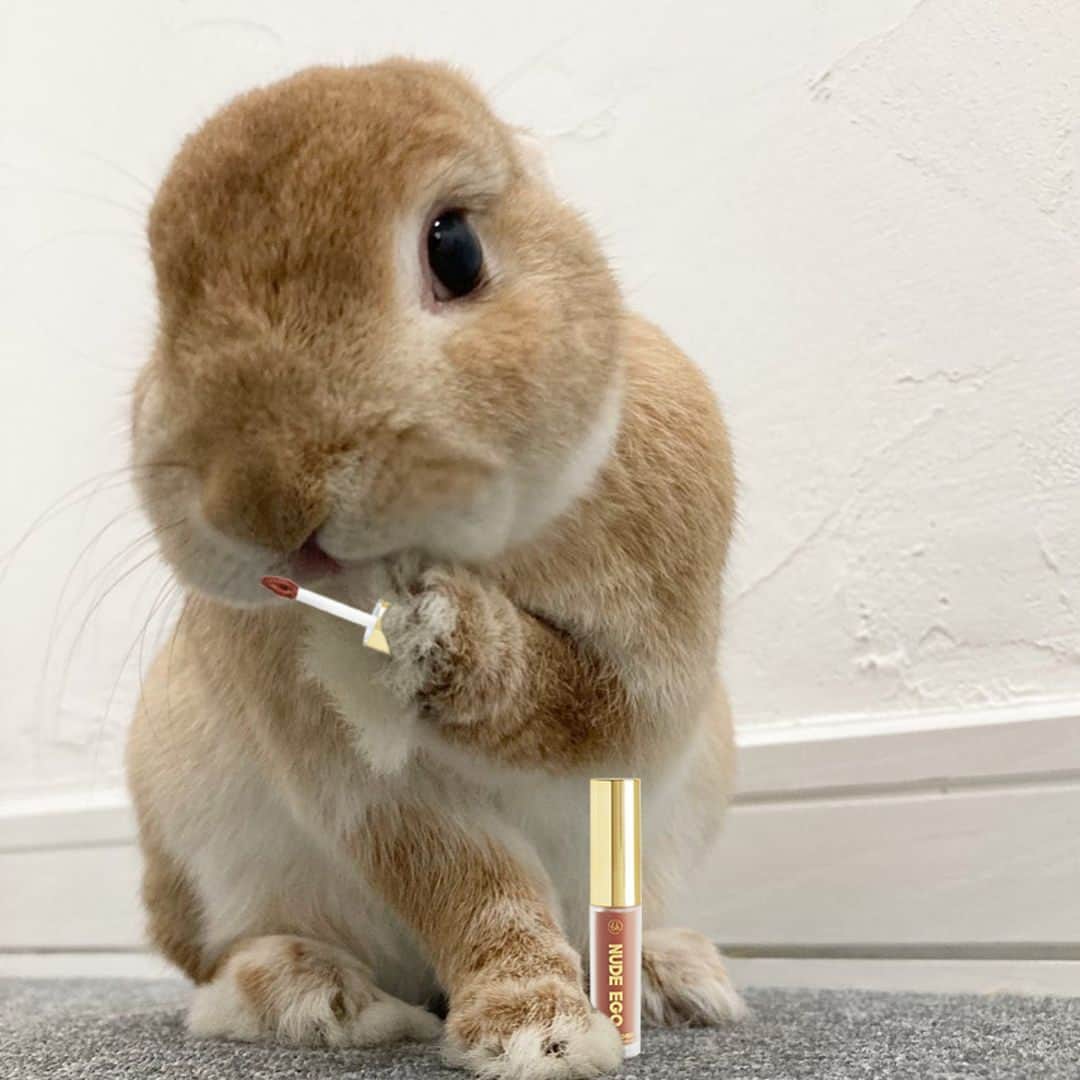 BH Cosmeticsのインスタグラム：「Happy #Easter to all those celebrating 🐰✨ What #bhcosmetics goodie do you want to find in your Easter 🧺 basket this year?! ⬇️」