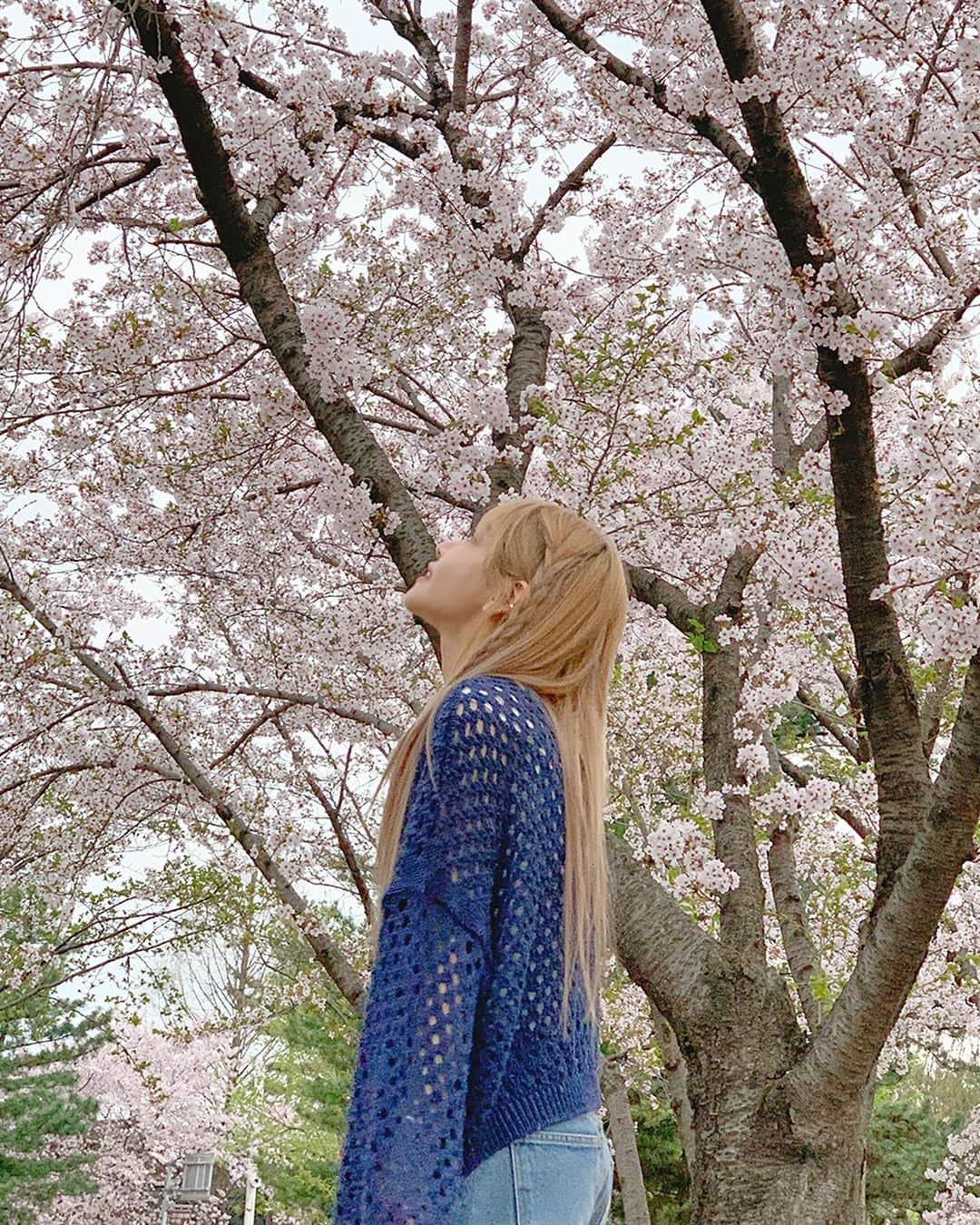 スアさんのインスタグラム写真 - (スアInstagram)「마지막까지 즐겨따 .. 🌸 벚꽃엔딩 🌸」4月10日 14時16分 - midoricoo