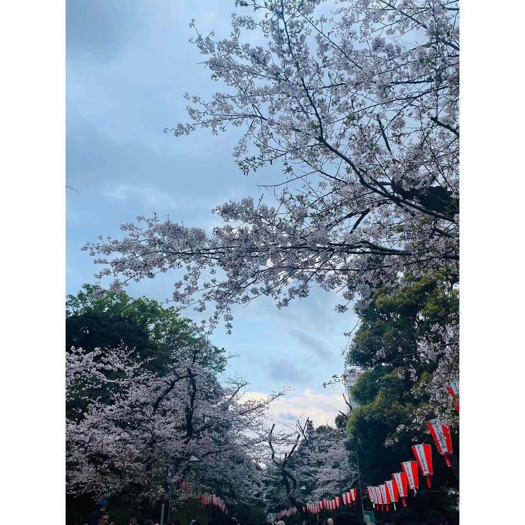 有明ゆなさんのインスタグラム写真 - (有明ゆなInstagram)「上野にお散歩いったときの🚶‍♀️ 人がすごくて さすが桜のシーズンだ🌸 って感じだった😺 屋台もたくさんあって めっちゃウキウキ💜 でも買わずに我慢💪🔥 ガハハハハハハ ソースせんべいが 屋台でいないのが寂しい。」4月10日 9時00分 - ariake_yuna