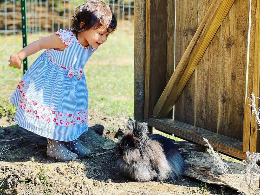 アマンダ・エボラのインスタグラム：「Bunny conversations 🐰🥕🐇 #HappyEaster #cuteasabunny   📷: @julia.will3」