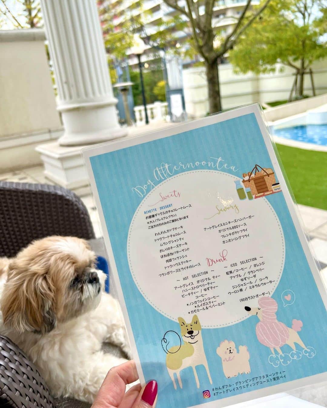 田中浩実さんのインスタグラム写真 - (田中浩実Instagram)「/アートグレイス ウエディングコースト 東京ベイ @artgrace_shinurayasu   8日間限定開催の「わんダフル・グランピング アフタヌーンティー」にすぴかと行ってきました♡  ”愛犬と出かける1日”をイメージしたランチボックスを開けるとわんこをイメージした可愛いスイーツがたくさん！  サクサクのメレンゲとふわふわのクリームでマルチーズを表現した「ムラング・シャンティ」や肉きゅう型のフィナンシェなど心くすぐるデザートが勢揃い♡  セイボリーはチーズハンバーガーやポテト、オニオンリングなどBBQソースをつけて楽しみました！  今回は特別にすぴかにもわんちゃん用ケーキをオーダー！ スポンジやお砂糖など一切使用せず、ヨーグルト、さつまいもなどで作られているので安心！ 普段のおやつは野菜なのですが、これならすぴかもペロペロ喜んで食べていましたよ♡  わんちゃんと一緒にアフタヌーンティーなんて嬉しすぎるこの企画。 こちらの大人気アフタヌーンティーは残すところあと2回の開催で 5月12日(金)・26日(金)となります。 わんちゃん好きな人にはぜひ行ってほしい♡ 早めの予約をおすすめします！  【デザート】 ・わんわんカップケーキ ・ドックフードチョコムース ・ムラングシャンティ ・おしりのチーズケーキ ・ほねほねバターサンド ・肉球フィナンシェ ・ドックハウスクッキー ・フランボワーズとライチのムース  【セイボリー】 ・アートグレイスミニチーズハンバーガー ・オリジナルBBQソース ・フレンチポテトフライ ・オニオンリングフライ  【アシェットデセール】 ・お昼寝ダックスのチョコレートムース ※大人（プレミアムプラン）注文の方のみの提供  【ドリンク】 紅茶・コーヒーなど20種類以上が飲み放題（90分ラストオーダー）  ※「お子様」メニューでは大人メニューの一部になります。 ※「オプションメニュー」ではカレーやパスタなどもあります！ 訪れる際はHP記載の「愛犬同伴ルール」を守って楽しんでくださいね！  【1部】 12:00～14:00（L.O.13:30） 【2部】 14:30～16:30（L.O.16:00） 【料金】 大人（スタンダード） 4,500円／大人（プレミアム）5,000円 お子様（4歳～小学校3年生）2,000円　※3歳未満無料  📍アートグレイス ウエディングコースト 東京ベイ 千葉県浦安市明海5-8-2 ☎047-316-6668 ■アクセス JR京葉線新浦安駅より車、またはバスで7分 ※土日祝日のみ新浦安駅前より専用送迎バスが運行   #アートグレイスウエディングコースト東京ベイ #アートグレイス新浦安  #アフタヌーンティー #ヌン活 #スイーツ好き #ホテルグルメ #ホテルアフタヌーンティ #すぴ散歩  #千葉すぴ散歩 #千葉グルメ #ペットok #わんこok  #わんすたぐらむ #わんことお出かけ  #シーズー #シーズー大好き部 #いぬすたぐらむ #犬のいる暮らし #ふわもこ部  #shitzu  #chiba  #afternoontea #sweets #gourmet #foodie」4月10日 10時03分 - hiromi.tanaka.japan
