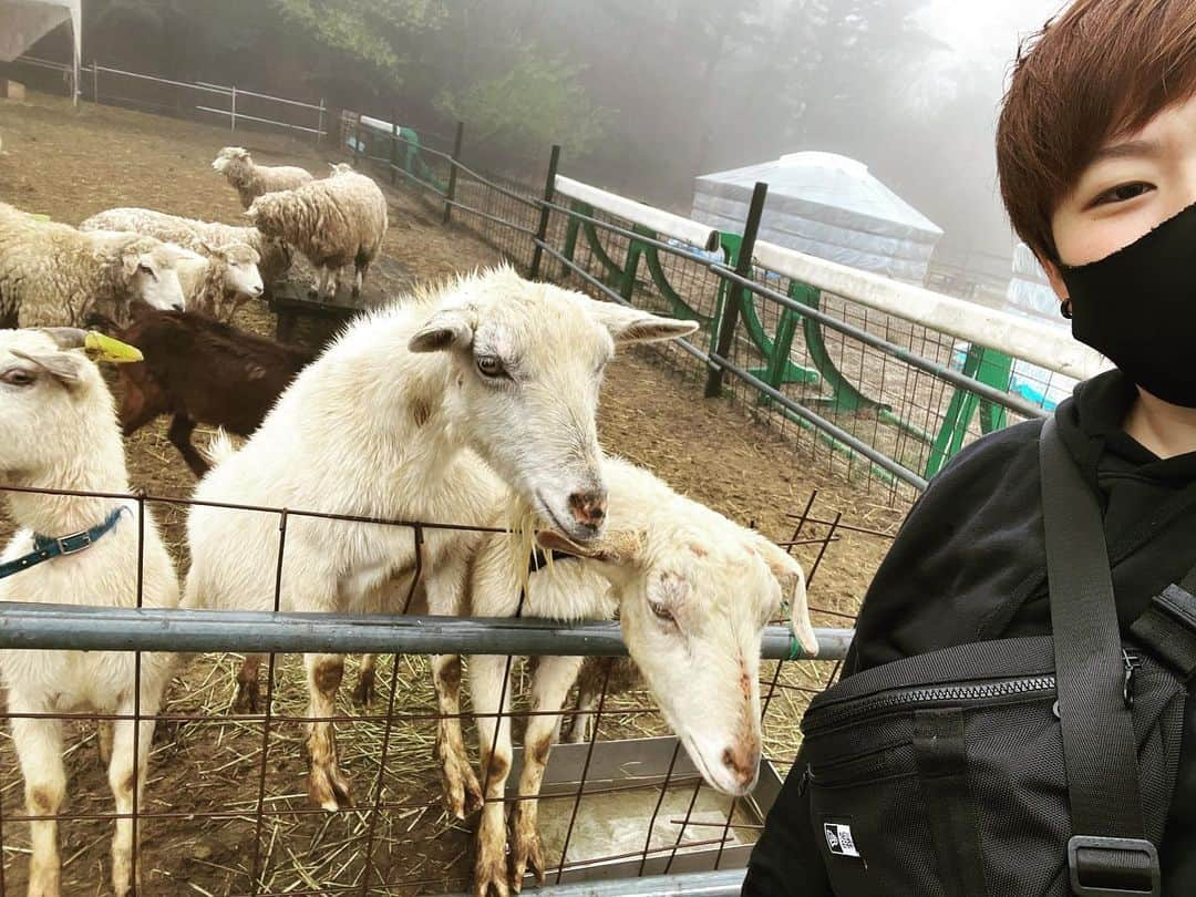 小野崎玲皇のインスタグラム：「れおた🦁とヤギさん🐐」