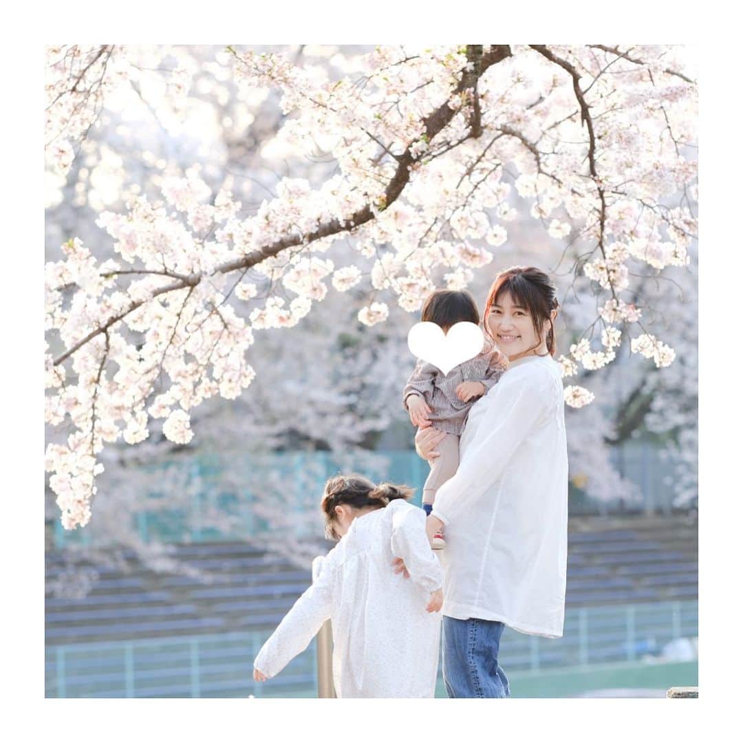 菊池真以のインスタグラム：「記念写真・・・にならなかった写真🤣 桜吹雪で舞う花びらが気になってしょうがない子たち🌸😂 . さくらがね、おいかけっこしているみたい！ . 子供の表現って好きだなぁ💓  #君と見つけた四季」