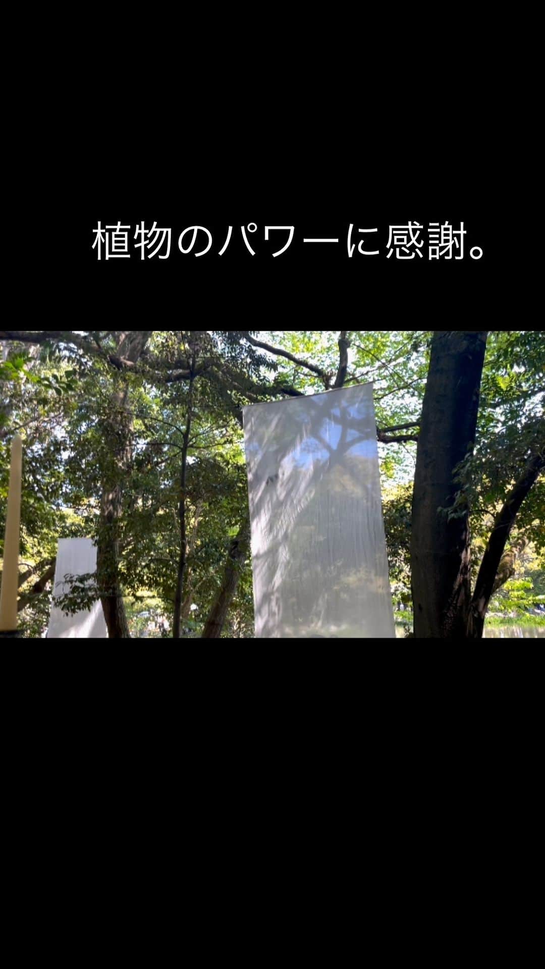 よっこのインスタグラム