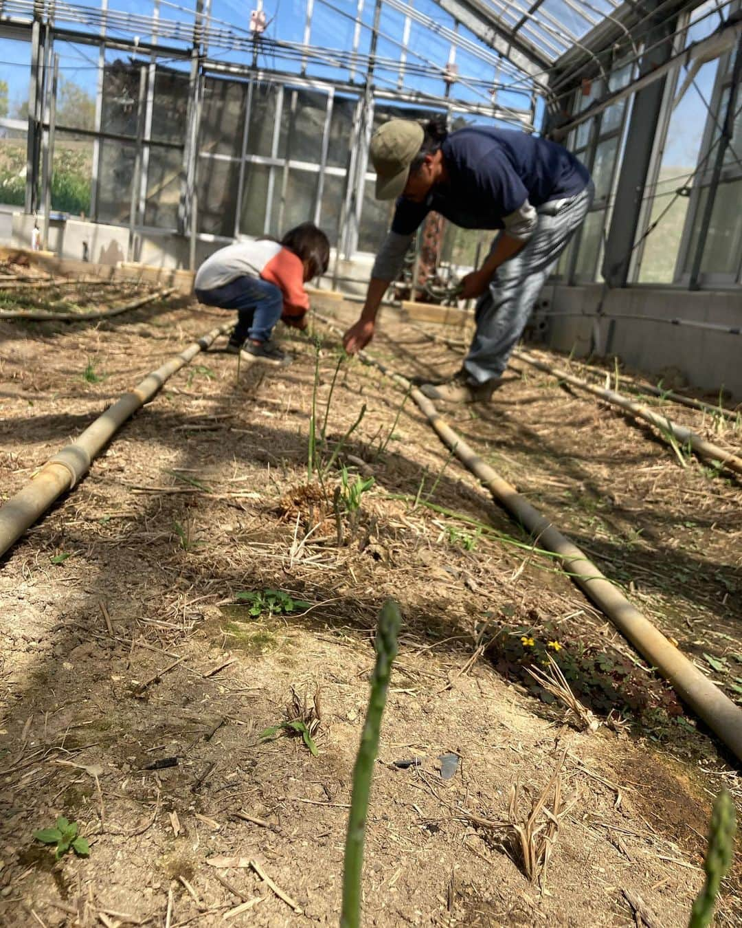 三宅洋平さんのインスタグラム写真 - (三宅洋平Instagram)「菜音Farm @zioncamp.awaji   #awajishima #淡路島」4月10日 11時05分 - miyake_yohei