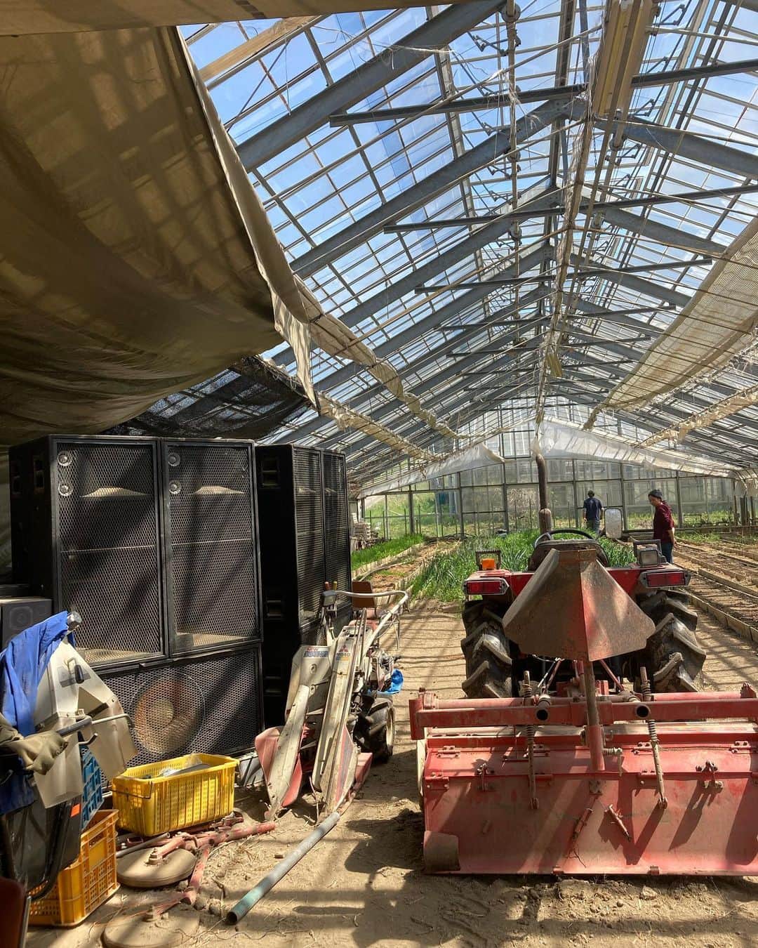 三宅洋平のグルメインスタ