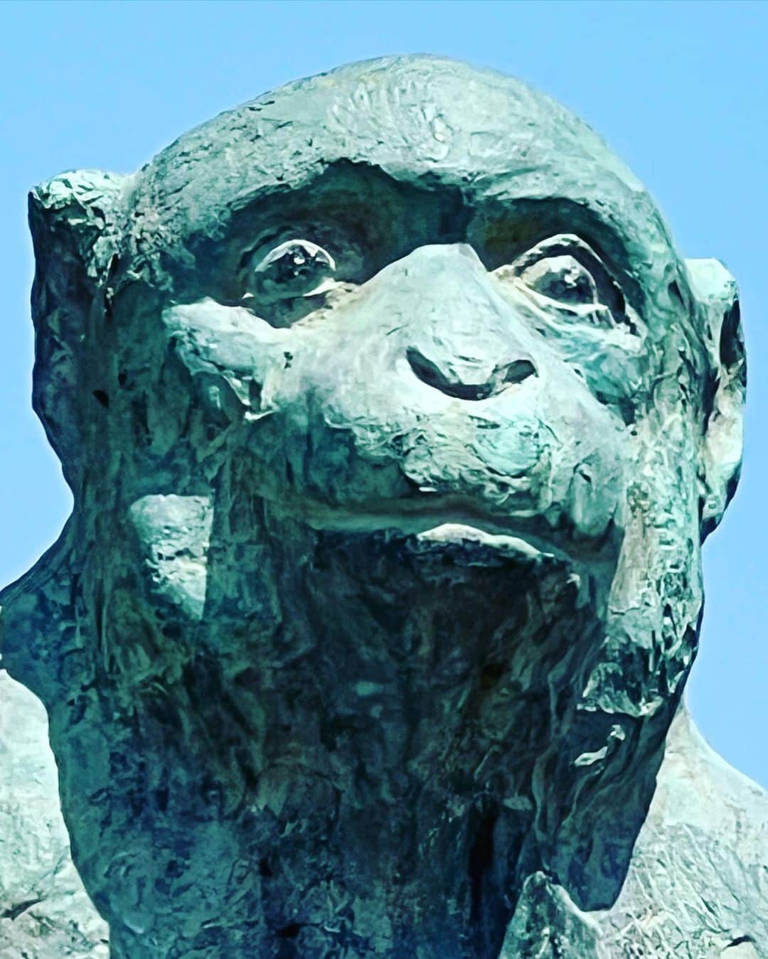 岩井秀人さんのインスタグラム写真 - (岩井秀人Instagram)「つきまったん」4月10日 11時06分 - iwaihideto