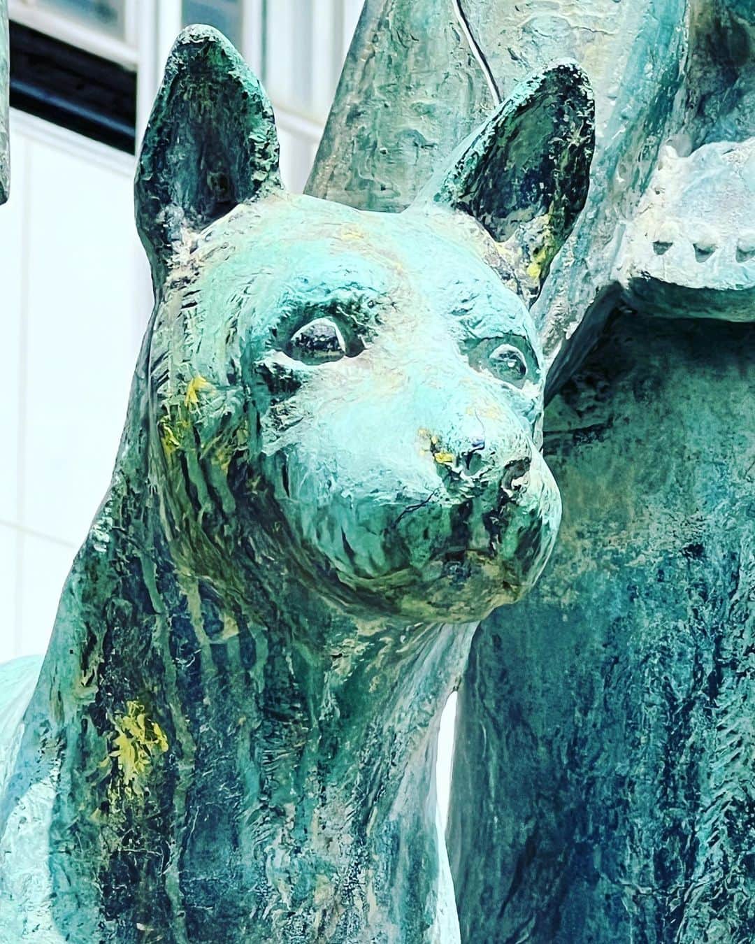 岩井秀人さんのインスタグラム写真 - (岩井秀人Instagram)「つきまったん」4月10日 11時06分 - iwaihideto