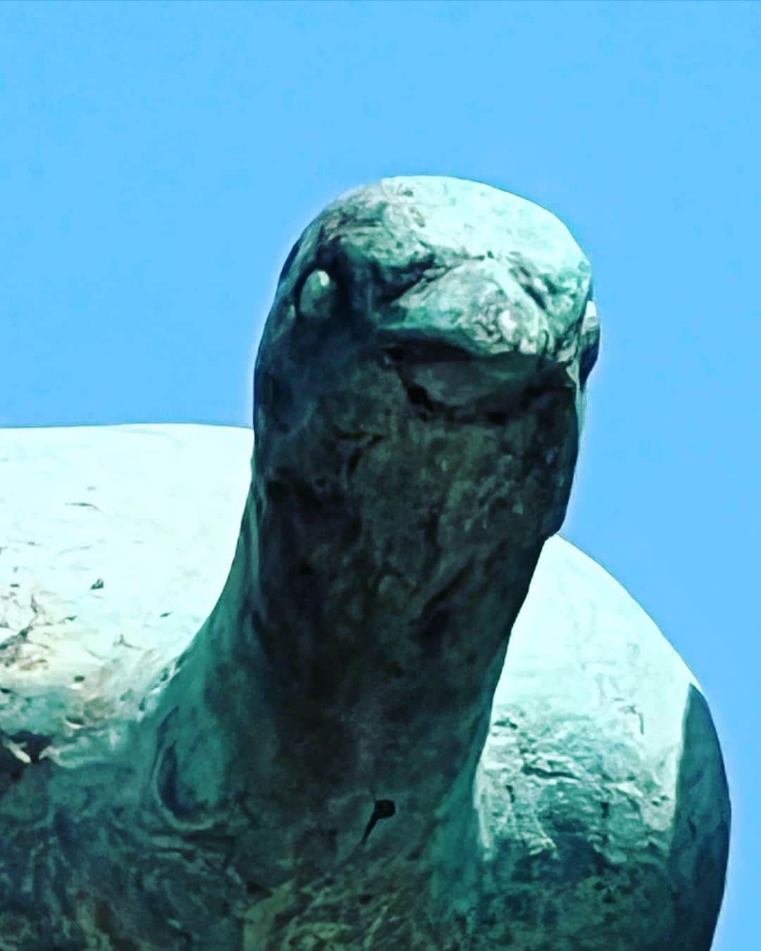 岩井秀人さんのインスタグラム写真 - (岩井秀人Instagram)「つきまったん」4月10日 11時06分 - iwaihideto