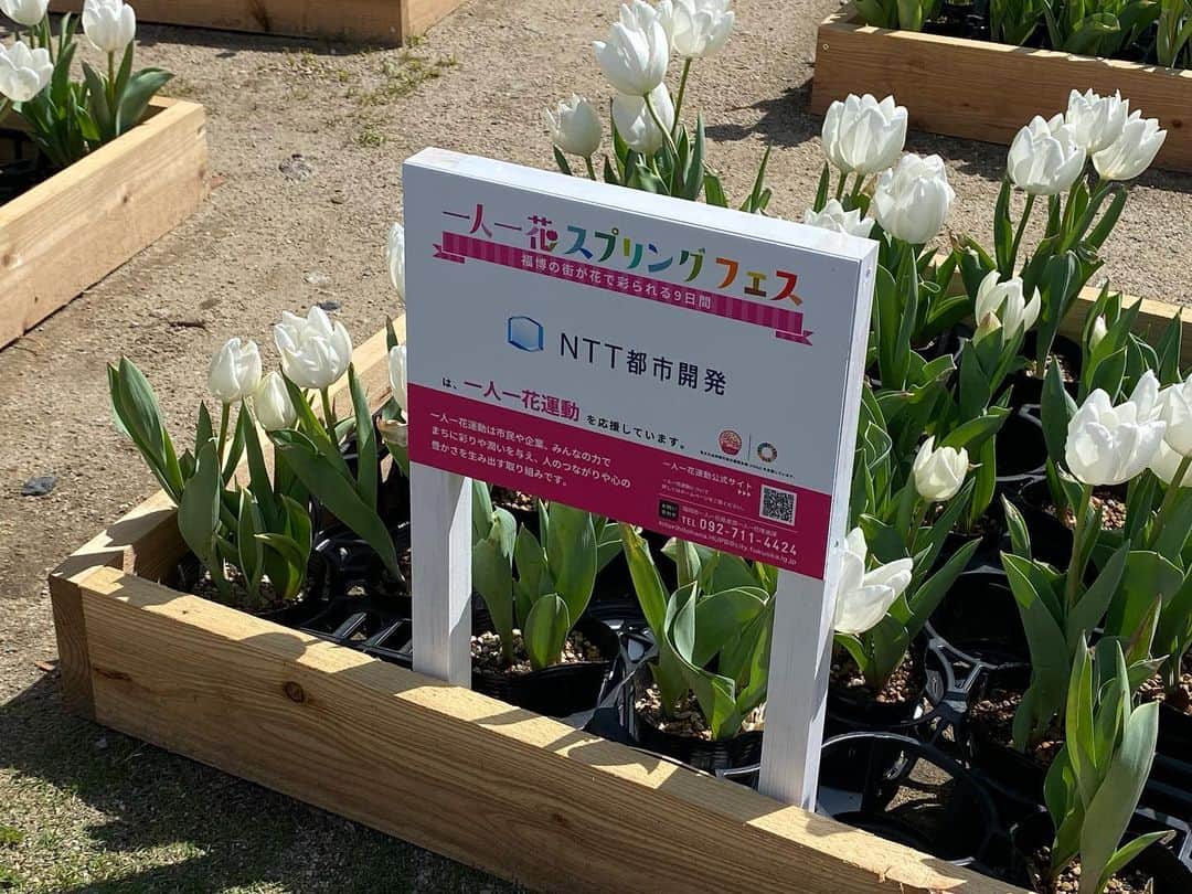 株式会社ダイワのグルメインスタ