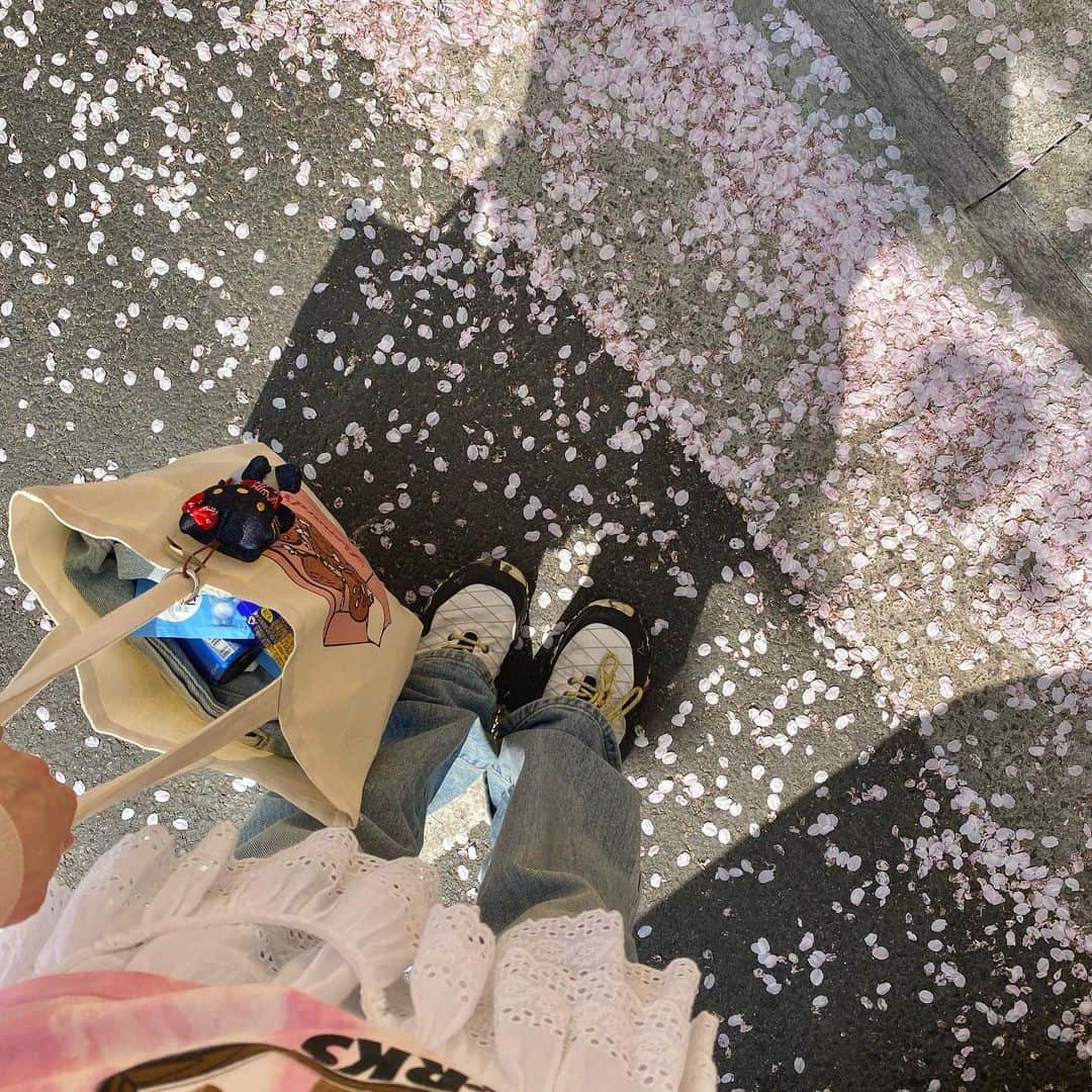 ネオンムーンのインスタグラム：「산책길 모음집🌷」