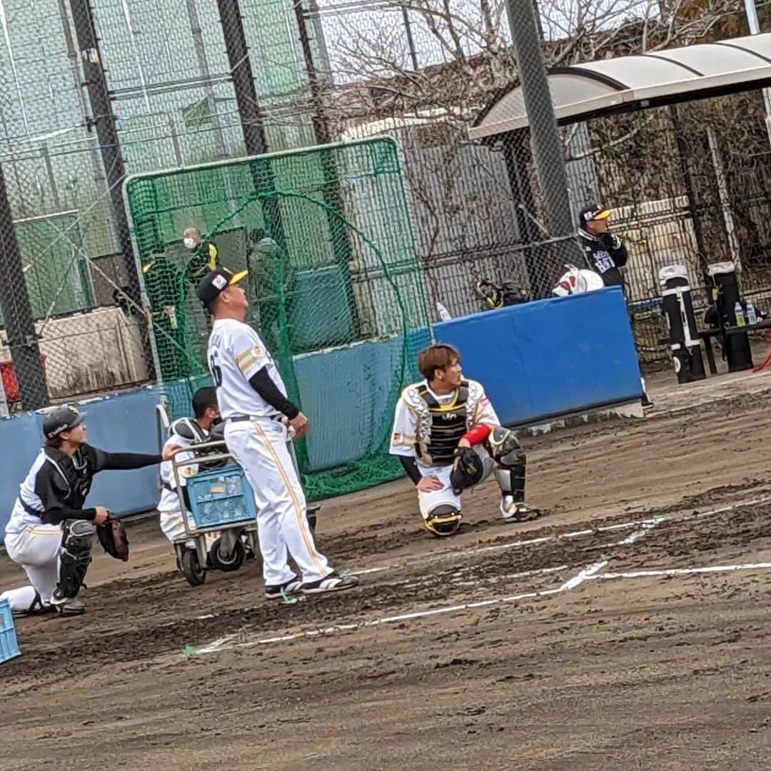 渡邉敬大さんのインスタグラム写真 - (渡邉敬大Instagram)「2023.2.11. ホークスキャンプ🦅⚾️  急きょ大分出身選手に インタビューできることになり 弾丸取材へ🚙💨 シートバッティング初日、 キャッチャーはもちろん #甲斐拓也 選手 開幕投手候補だった #東浜巨 投手は さすがのバッテリーでした😊  #笠谷俊介 投手と 県出身選手の対戦は熱かった！  バレンタイン前の週末ということで フォーチュンクッキー配布🥠 中からは #嘉弥真新也 投手✨  WBC前の緊張感に加えて 日本一奪還へ闘志を燃やす 鷹戦士たちへのインタビューは 熱く燃えました…🔥  今年もドームに行くぞ！ おう！おう！おーう！！  #福岡ソフトバンクホークス #sbhawks #宮崎キャンプ #甲斐拓也 #今宮健太 #川瀬光 #笠谷俊介 #奥村政稔 #中村宜聖 #三代祥貴 #若鷹 #大分放送 #スポーツキャスター #渡辺敬大 #わたなべけいた」4月10日 12時20分 - obs_watanabe_keita