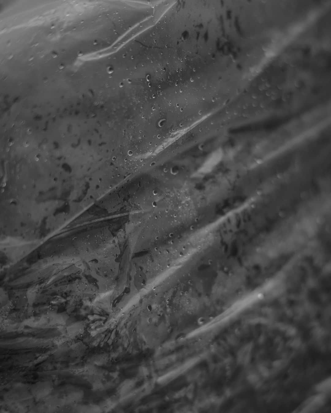 黒河内真衣子のインスタグラム：「Awajishima. Autumn 2022  LICHEN x Mame Kurogouchi is in the making and coming soon.  Photography @yuichironoda   @lichen.fr #mamekurogouchi」