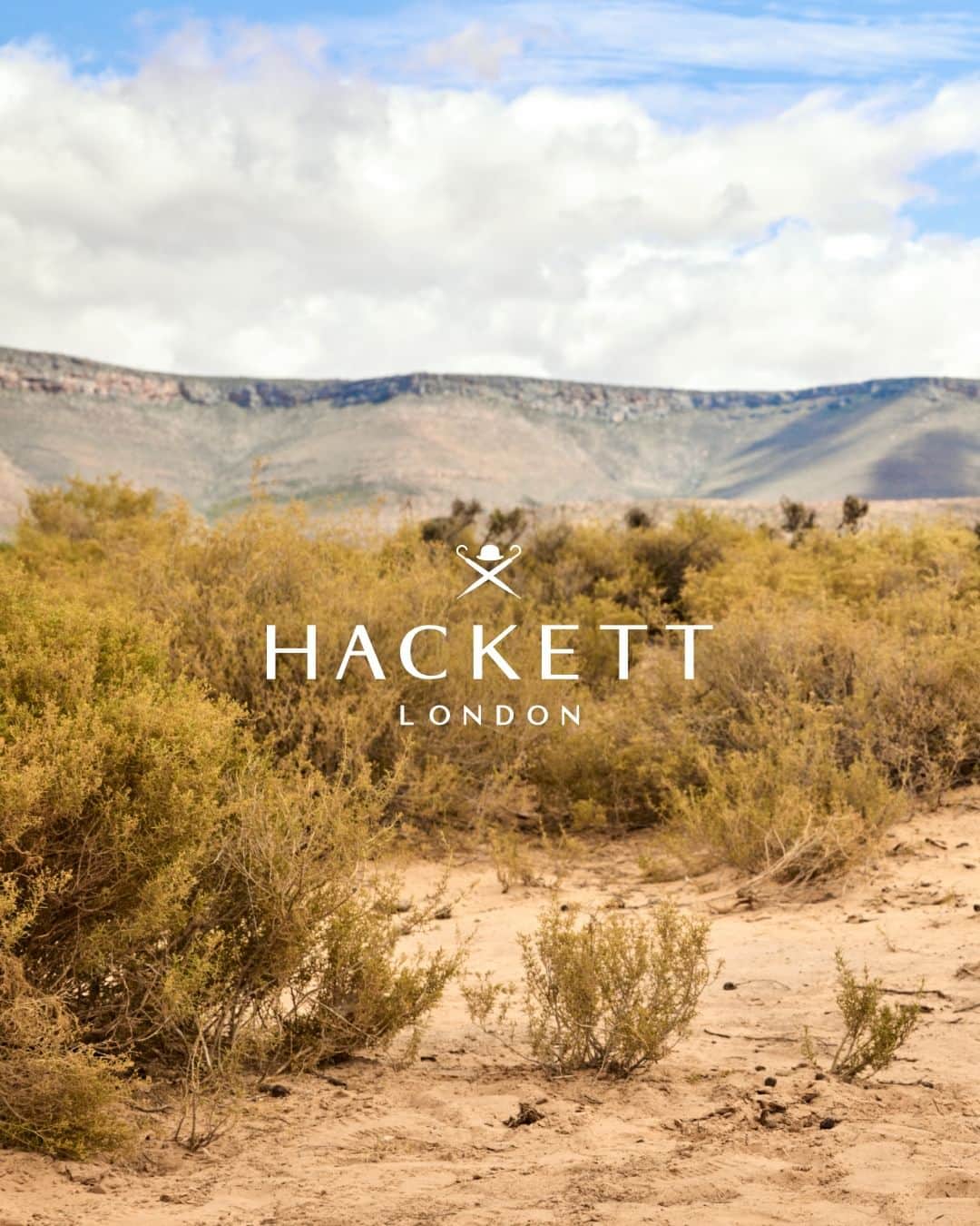 ハケットのインスタグラム：「Answer the call of the wild.   Browse the Spring-Summer 2023 collection.   #HACKETTXJENSON #HowToHackett  Creative Agency: Dentsu Creative @dentsucreative.es」