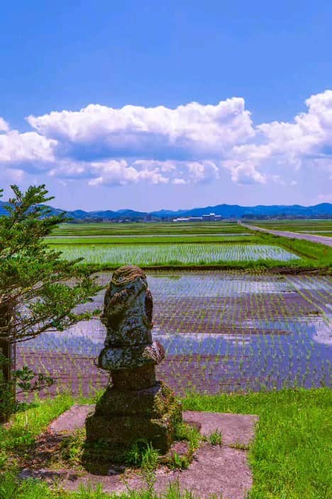 鹿児島よかもん再発見のインスタグラム：「南さつま市金峰町のお散歩🚶‍♂️」