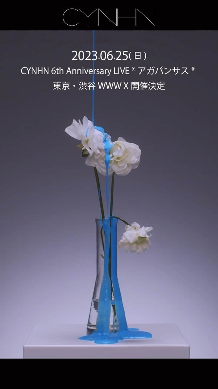 CYNHNのインスタグラム：「CYNHN(スウィーニー )「楽の上塗り」Music Video https://youtu.be/vBWvurwVxpA  ・CYNHN 6th Anniversary LIVE *アガパンサス* 2023年6月25日（日） 会場：東京・渋谷WWW X（Access）  ・「Second Blue Session （セカンド・ブルー・セッション）」 2023年5月14日（日） 会場：東京・キネマ倶楽部」