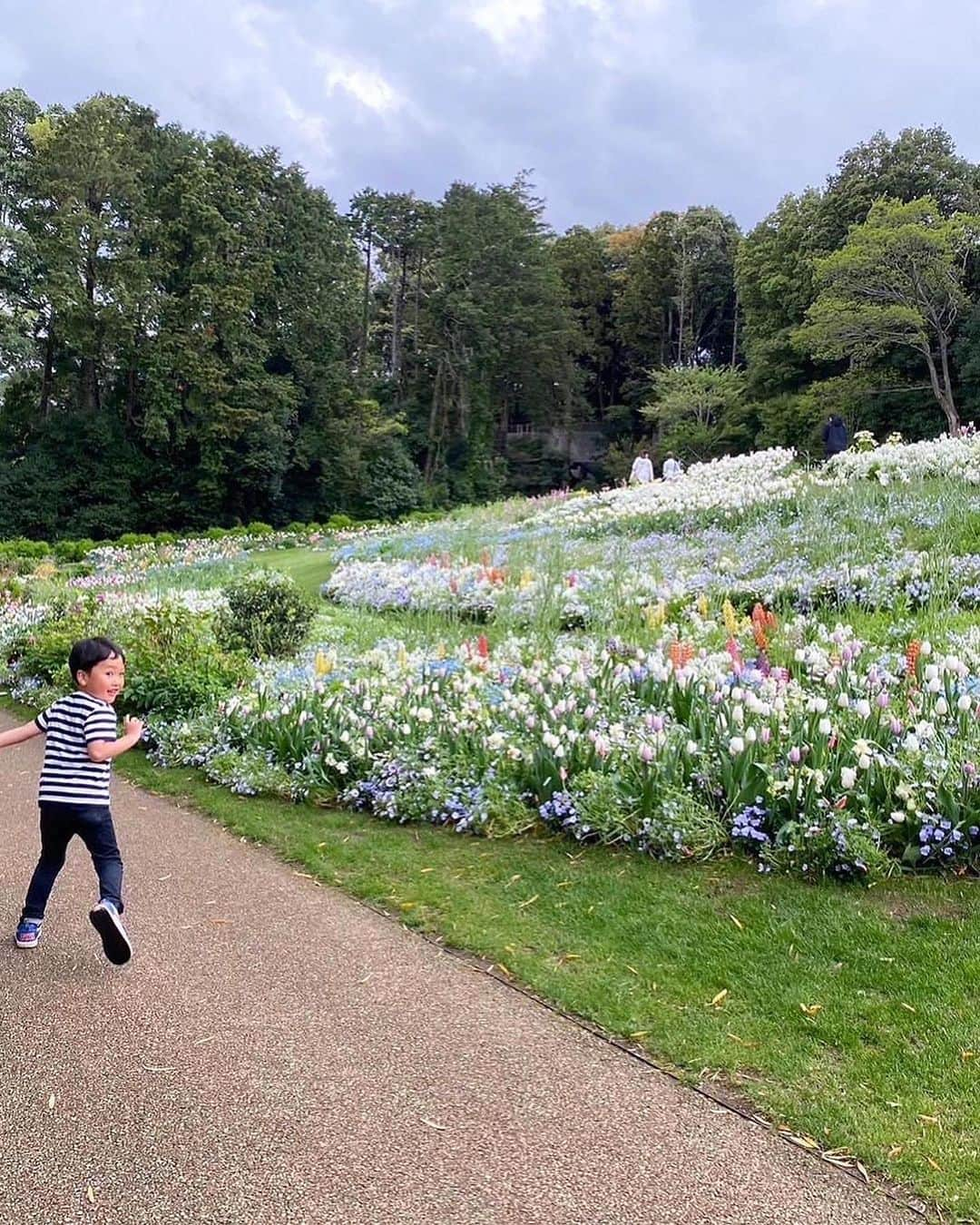 菅野広恵さんのインスタグラム写真 - (菅野広恵Instagram)「先日幼稚園のお友達3家族で 横浜ズーラシアの隣にある 里山ガーデンへ行ってきました🌼🌸🌼 ※春シーズンは5月7日まで ⁡ ピクニックが出来る広場もあり テントを立てて、みんなでご飯は 子供達も盛り上がるよね🤣🌸 しかも、お花畑も見ながら幸せ🌸🌼🌸 ⁡ ⁡ 我が家は無理しないも家族の仲良しのためなので パン屋さんでパンを買って🍞w ⁡ ⁡ びっくりしたのが 広がる花畑に 設備もしっかりしてるのに 入園料金無料‼️ ⁡ ⁡ ただ、駐車場は1000円だけど、 それでも行きたいと思う場所🙆‍♀️🫶 ⁡ ⁡ わんこ連れもokみたいで わんこの映え写真撮ってる方々も 結構多かったな🐶❤️ ⁡ ⁡ 入れるシーズンは春秋だけだけど ここは毎シーズン2回絶対行きたい場所に なりました🌼🌸🌼🌸 ⁡ ⁡ 次回は、隣のズーラシア軽く見てから 里山ガーデン行くのもよいな🐇🦁🦊 @satoyama.garden  ⁡ この日は、みんなで黒白コーデ🖤🤍 ママとひーくんだけお揃い^ ^  ⁡ #里山ガーデン  #映えスポット  #お花畑　 #子連れでお出かけ  #子連れスポット  #子連れイベント  #横浜観光　#花が好きな人と繋がりたい  #2児のママ  #2児ママ  #0歳児ママ　#0歳児育児  #5歳差育児  #アラフォーママ　#子連れでお出かけ　#親子リンクコーデ」4月10日 22時15分 - hiroesugano