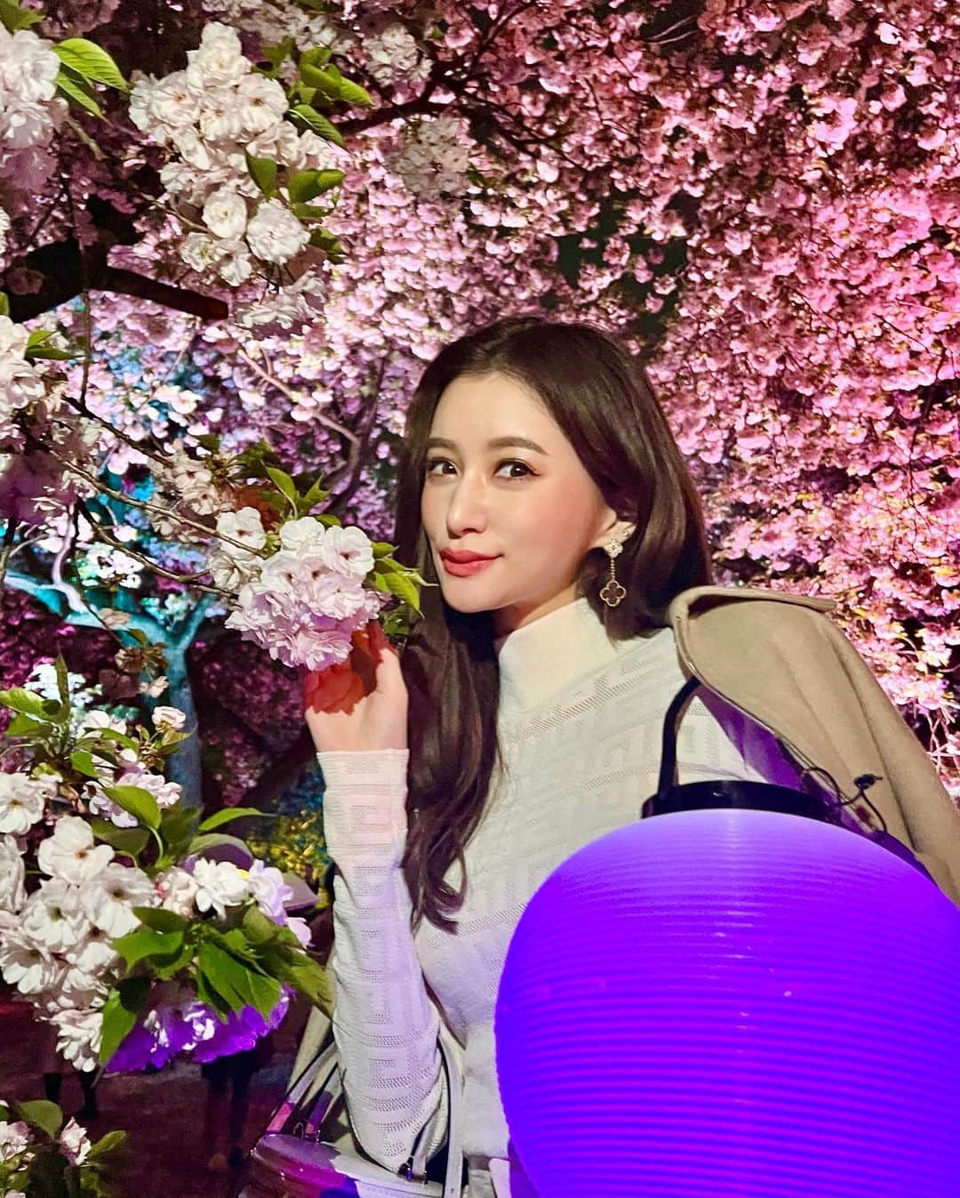 平山美春のインスタグラム：「𝐈𝐥𝐥𝐮𝐦𝐢𝐧𝐚𝐭𝐞𝐝 𝐜𝐡𝐞𝐫𝐫𝐲 𝐛𝐥𝐨𝐬𝐬𝐨𝐦𝐬 𝐚𝐭 𝐧𝐢𝐠𝐡𝐭🌸 @naked_inc   新宿御苑で4月末までライトアップされた夜桜が見学できます🌸プロジェクションマッピングもふんだんに使われて、幻想的な世界にいる気分に…👏 ちょうちんは数に限りがあるので、早めに行って持って行くのがおすすめ！(タダで借りられます)」