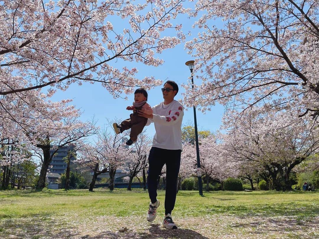 Karunaのインスタグラム：「また来年〜👋🏻🌸🕊️」