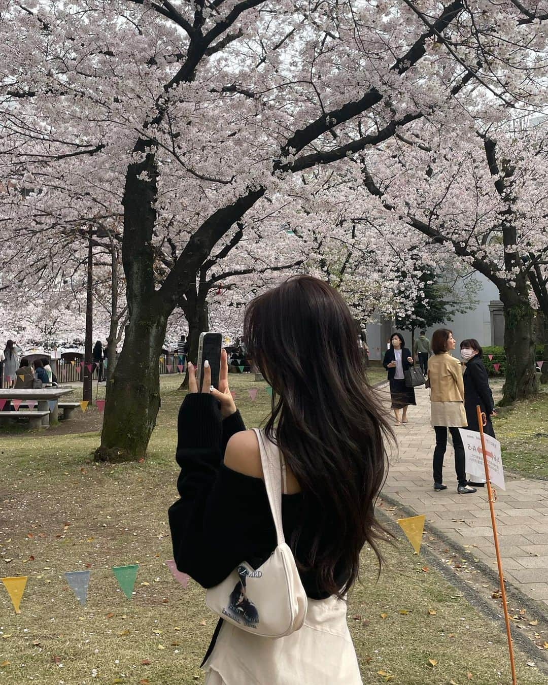 イ・ヨンユのインスタグラム：「벚꽃 원 없이 봤찌 🌸」