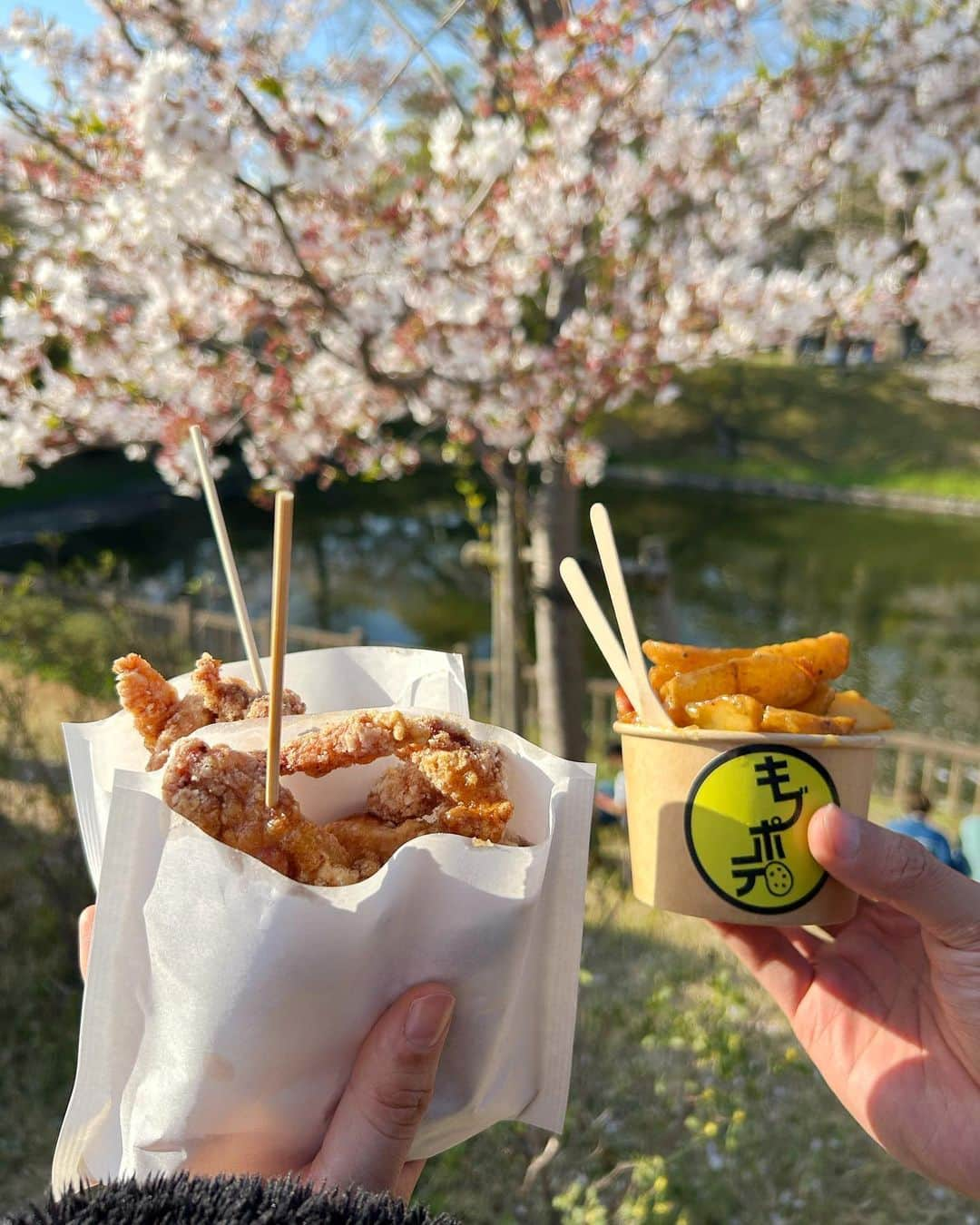 はるちゃんのインスタグラム：「岡崎の桜まつりで食べれた #キブポテ と2度目の #暴れん坊チキン 🤍🥔🐣 どっちもめっちゃ美味しかった😋  #岡崎 #岡崎公園 #岡崎さくら祭り #桜 #桜スポット #cherryblossom #東海オンエア #東岡崎 #東海オンエアマンホール    #岡崎市 #東海オンエア好きな人と繋がりたい #youtube #岡崎城 #rcoffeestand  #youtuber . . . . #サロンモデル #インフルエンサー #photography #いいね返し #l4l #撮影モデル #ポートレートモデル #サルヴァトーレで春気分 #金山」