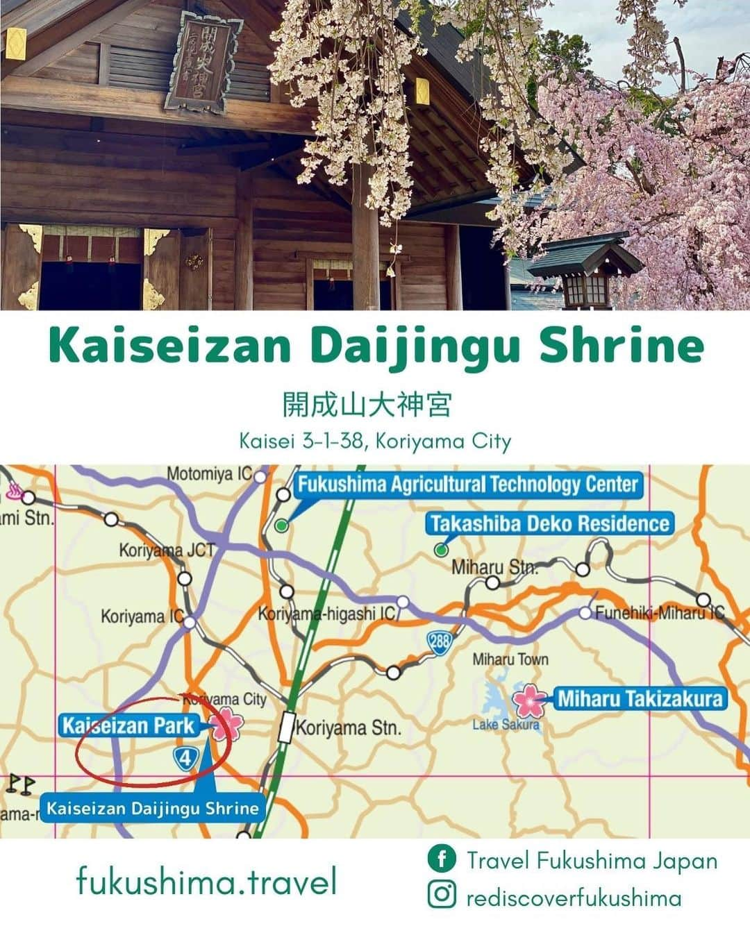 Rediscover Fukushimaさんのインスタグラム写真 - (Rediscover FukushimaInstagram)「🌸 The beautiful Kaiseizan Daijingu Shrine (開成山大神宮) is located right in front of Kaiseizan Park, one of Fukushima prefecture’s most famous sakura spots! 🌸  This shrine looked beautiful last week with its lovely weeping cherry blossoms in full bloom!  🌸 Kaiseizan Daijingu Shrine has an annual sakura festival!  📅 This year’s festival goes from the 1st to the 23rd of April (though it might be best to visit ASAP due to this year’s early bloom!).  📍Location: Koriyama City, Central Fukushima Pref., Japan  Access from Tokyo:   🚅 Take the JR Tohoku Shinkansen from Tokyo or Ueno Station to Koriyama Station [郡山駅] (1 h 30 min).   🚌 From there, take the bus bound for the City Hall [市役所] or to Hayama via Otsuki [麓山経由大槻] (20 min.)   🚲You can also go to the shrine by bicycle (rental bicycles are available at Koriyama Station!)  Have you ever visited this shrine? If so, in what season?  Don’t forget to save this post for your next visit to Kaiseizan Daijingu Shrine!  #visitfukushima #fukushima #fukushimagram #japanese #shrine #shintoshrine #torii #toriigate #japaneseculture #japan #japantravel #japantrip #sakuramatsuri #sakurafestival #cherryblossom #spring #matsuri #japanesematsuri #weepingcherryblossom #koriyamacity #koriyama #kaiseizandaijingu #kaiseizandaijingushrine #beautifulplaces #beautifuljapan #beautifuldestinations #tohoku #tohokutrip #aprilinjapan #beautiful」4月10日 14時27分 - rediscoverfukushima