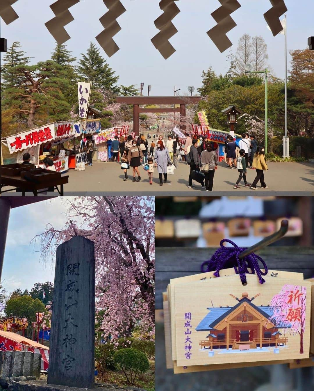 Rediscover Fukushimaさんのインスタグラム写真 - (Rediscover FukushimaInstagram)「🌸 The beautiful Kaiseizan Daijingu Shrine (開成山大神宮) is located right in front of Kaiseizan Park, one of Fukushima prefecture’s most famous sakura spots! 🌸  This shrine looked beautiful last week with its lovely weeping cherry blossoms in full bloom!  🌸 Kaiseizan Daijingu Shrine has an annual sakura festival!  📅 This year’s festival goes from the 1st to the 23rd of April (though it might be best to visit ASAP due to this year’s early bloom!).  📍Location: Koriyama City, Central Fukushima Pref., Japan  Access from Tokyo:   🚅 Take the JR Tohoku Shinkansen from Tokyo or Ueno Station to Koriyama Station [郡山駅] (1 h 30 min).   🚌 From there, take the bus bound for the City Hall [市役所] or to Hayama via Otsuki [麓山経由大槻] (20 min.)   🚲You can also go to the shrine by bicycle (rental bicycles are available at Koriyama Station!)  Have you ever visited this shrine? If so, in what season?  Don’t forget to save this post for your next visit to Kaiseizan Daijingu Shrine!  #visitfukushima #fukushima #fukushimagram #japanese #shrine #shintoshrine #torii #toriigate #japaneseculture #japan #japantravel #japantrip #sakuramatsuri #sakurafestival #cherryblossom #spring #matsuri #japanesematsuri #weepingcherryblossom #koriyamacity #koriyama #kaiseizandaijingu #kaiseizandaijingushrine #beautifulplaces #beautifuljapan #beautifuldestinations #tohoku #tohokutrip #aprilinjapan #beautiful」4月10日 14時27分 - rediscoverfukushima