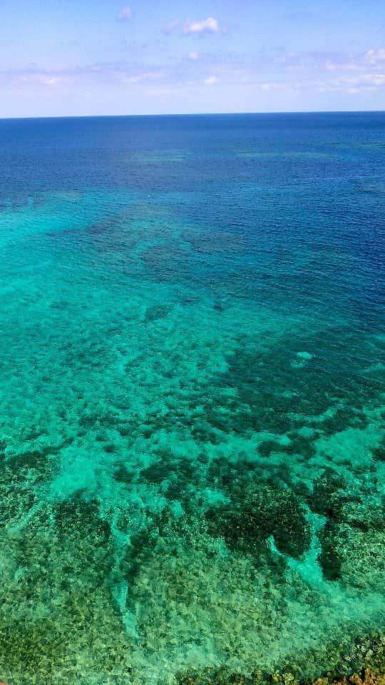 【公式】ルネッサンスリゾートオキナワのグルメインスタ