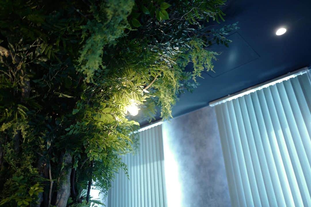 真奈さんのインスタグラム写真 - (真奈Instagram)「京都丸太町の @sauna_rezone_kyoto さんへ🧖‍♀️  京都初のひとりサウナ🧖‍♀️ まちなか癒しの森ということで 癒されてきました🧸  緑と音楽で癒され、 貸し出しの森の動物サウナハットで癒され最高でした🧖‍♀️  サウナ室あっつあつでしたよ！  ドリンクも２ついただけるので サウナ中もサウナ後も水分補給ばっちりです♡︎  ことちゃんがプライベートで 訪れた時に最高だったと 連絡をくれて実現した撮影です🎥 ことちゃん立派なサウナーになってて面白いな。笑  京都お近くの方はぜひ♡︎ 動画お楽しみに☺️  #REZONE #京都サウナ #むちむちサウナ　#サウナ女子」4月10日 14時33分 - manatmnt0116